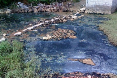 Hàng trăm người dân “ngộp thở” bên cảng cá ô nhiễm