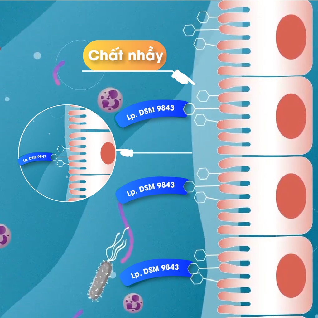 Men vi sinh hàng đầu Thụy Điển hỗ trợ cải thiện triệu chứng của hội chứng ruột kích thích - 3 Men vi sinh hàng đầu Thụy Điển hỗ trợ cải thiện triệu chứng của hội chứng ruột kích thích - 3