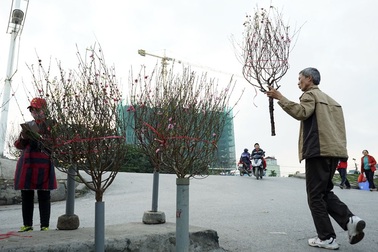 Có thể rét đậm, rét hại trong dịp Tết Mậu Tuất 2018