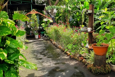 Chàng trai Tây Nguyên làm khu vườn bình yên, ngập tràn hoa thơm trái ngọt