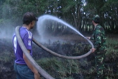 Mùa mưa, vườn quốc gia Tràm chim vẫn cháy 