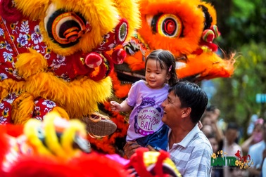 Đến hội hoa xuân ngắm linh vật Canh Tý, vườn hoa úp ngược