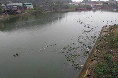Dân hoang mang vì cá chết nổi trắng sông