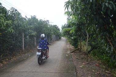 Phó Chủ tịch TP duyệt sai đền bù đất cho người thân… bị mất chức