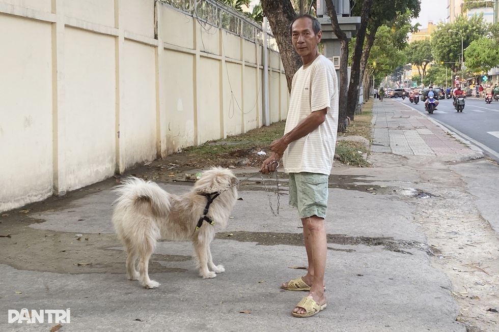 Xử lý thế nào khi bị chó cắn, mèo cào để tránh bệnh dại? - 3 Xử lý thế nào khi bị chó cắn, mèo cào để tránh bệnh dại? - 3