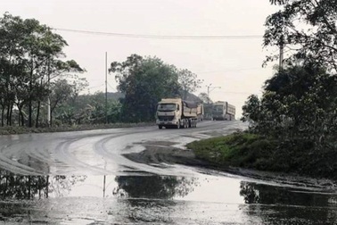 Doanh nghiệp bị phạt hơn nửa tỷ đồng vì “gây ảnh hưởng môi trường sống với nhiều người”