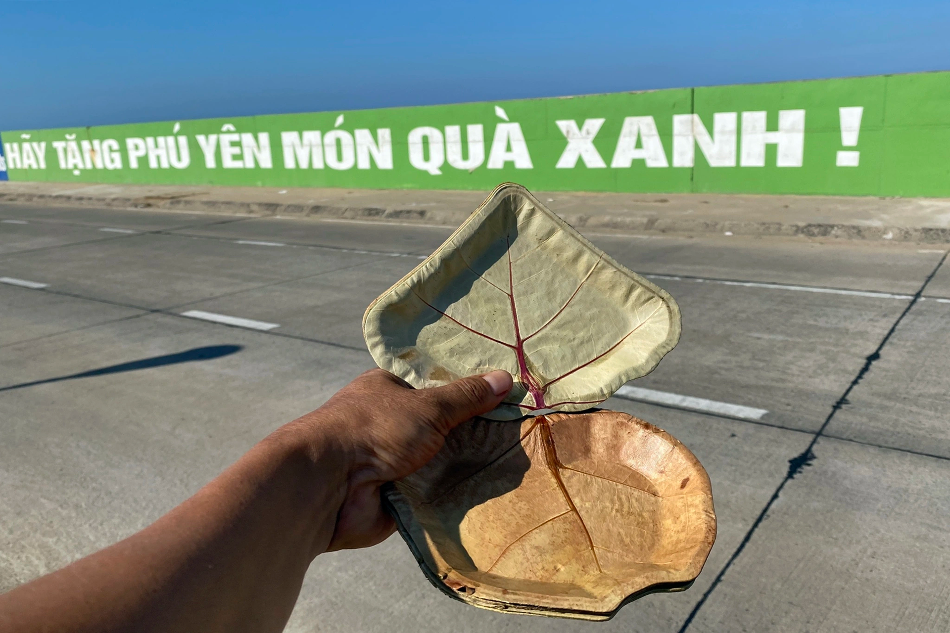 Lá tra xuất ngoại mang về tiền tỷ - 11 Lá tra xuất ngoại mang về tiền tỷ - 11