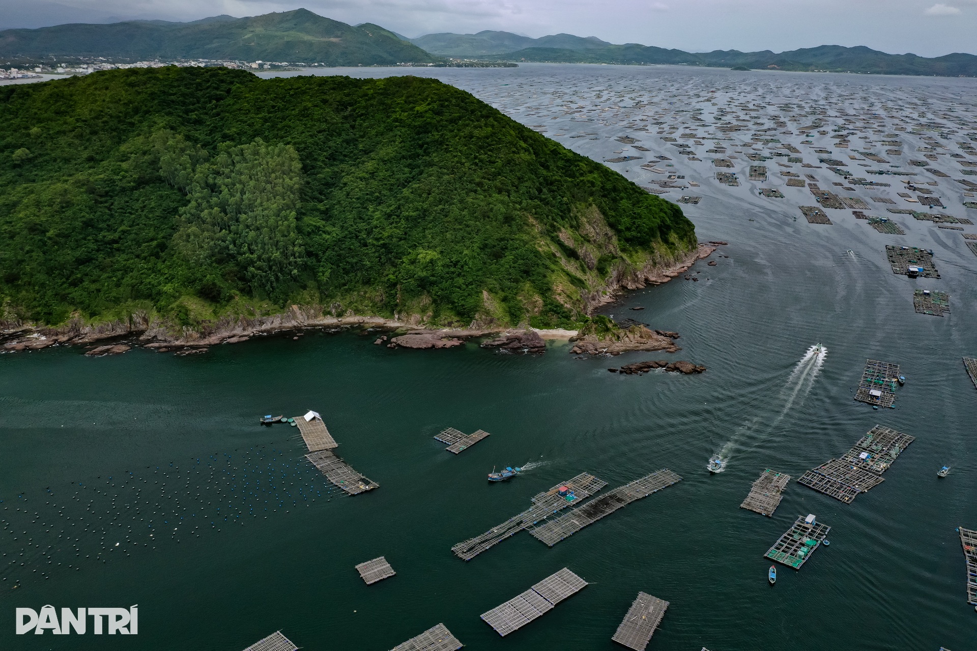 Ngư dân thủ phủ tôm hùm Việt Nam hối hả thu hoạch chạy bão Kalmaegi  - 10