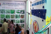 Dụ dỗ bán hàng đa cấp: Bỏ 5 triệu, thu về hơn 50 triệu đồng