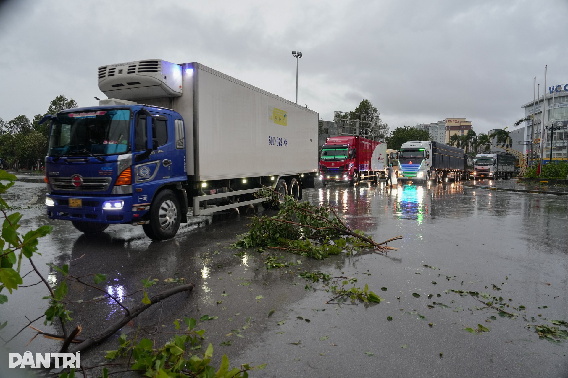 Nhà chờ xe buýt đổ sập, tôn bay và cây nằm la liệt khắp phố sau bão Kajiki - 14 Nhà chờ xe buýt đổ sập, tôn bay và cây nằm la liệt khắp phố sau bão Kajiki - 14