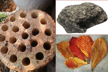 Hòn đá, lá bàng khô lần lượt "đổi đời" nhờ sàn thương mại điện tử