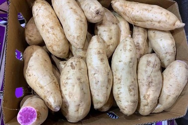 Bất ngờ củ khoai lang ruột màu tím lịm giá đắt gấp 20 lần