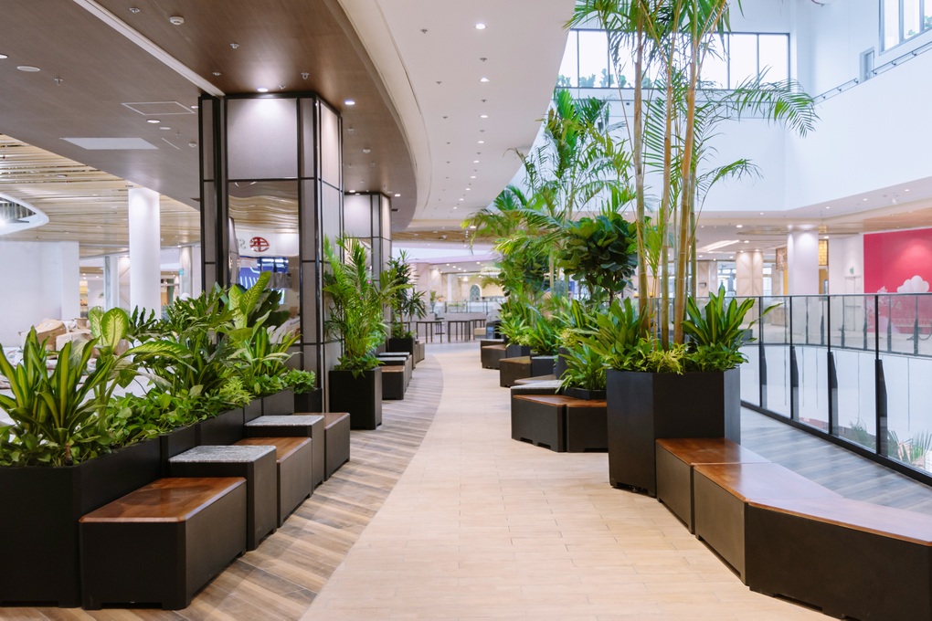 Khai trương trung tâm thương mại Aeon Mall Huế - 6 Khai trương trung tâm thương mại Aeon Mall Huế - 6