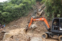 Nhiều tuyến đường bị bão tàn phá, Nghệ An công bố tình huống khẩn cấp