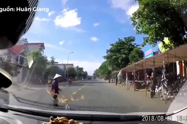 Người đi bộ, đi xe đạp có quyền ưu tiên đặc biệt?