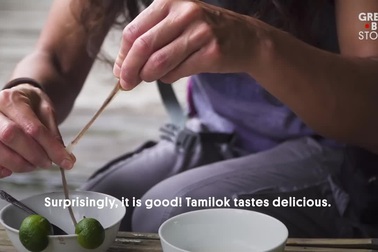 Ăn sống sâu gỗ bò lúc nhúc trong thân gỗ mục