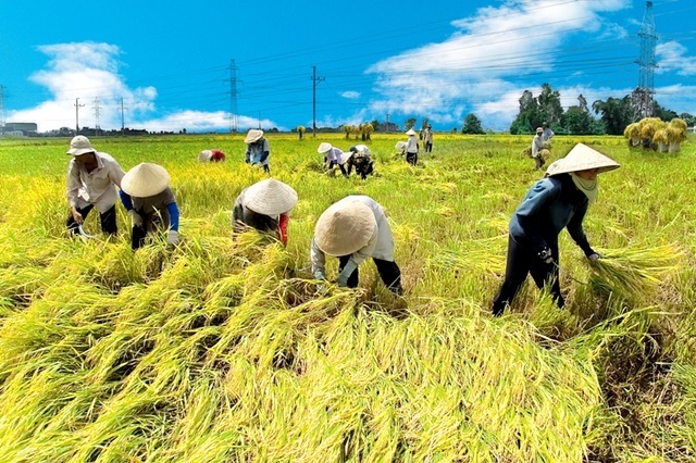 Tổ chức lại nông dân - 1 Tổ chức lại nông dân - 1