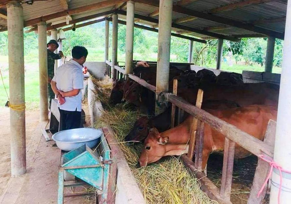 Định hướng nghề cho thanh niên dân tộc thiểu số tại Thừa Thiên Huế - 3 Định hướng nghề cho thanh niên dân tộc thiểu số tại Thừa Thiên Huế - 3