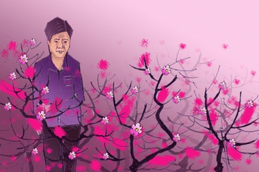 Ông lão vườn đào