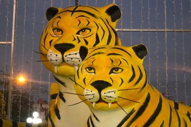 Phì cười với loạt linh vật có vẻ mặt ngờ nghệch, "hờn cả thế giới"