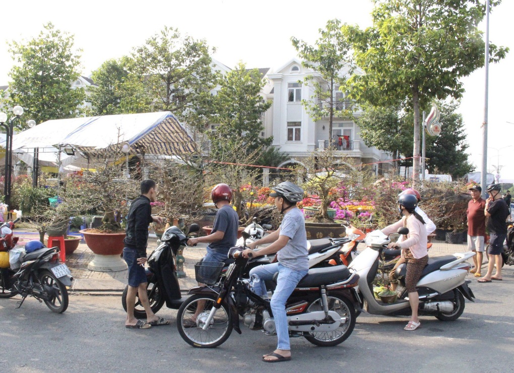 Hoa miền Tây đổ về Bình Dương phục vụ Tết Nguyên đán - 3 Hoa miền Tây đổ về Bình Dương phục vụ Tết Nguyên đán - 3