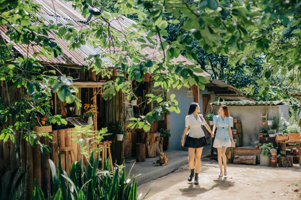 Quán cà phê có một không hai, tọa lạc bên suối nước giữa núi rừng Đà Lạt - 1 Quán cà phê có một không hai, tọa lạc bên suối nước giữa núi rừng Đà Lạt - 1