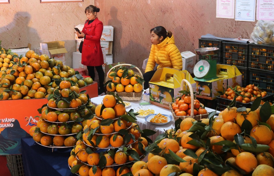 Hà Tĩnh: Nhiều sản vật 4 sao hội tụ tại Lễ hội cam - 7