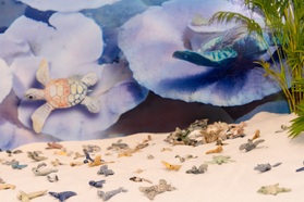 Ấn tượng triển lãm "Phiêu" cùng với 1.001 rùa biển bằng gốm