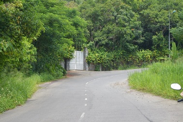 Đà Nẵng sẽ báo cáo Thủ tướng về dự án 137 lô biệt thự ở Sơn Trà