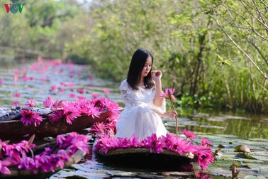 Hoa súng chùa Hương đẹp nao lòng giữa mùa đông