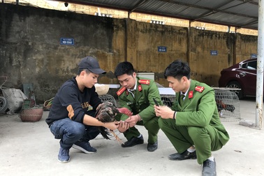 Bắt sới bạc liên tỉnh tại bãi tha ma