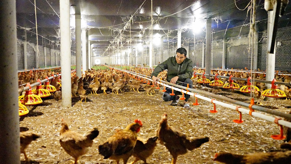 Hà Tĩnh: Cụ thể hoá chính sách giảm nghèo - 1 Hà Tĩnh: Cụ thể hoá chính sách giảm nghèo - 1