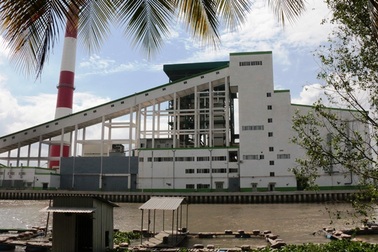 Nuôi cá sát miệng ống xả thải nhà máy giấy Lee & Man để... cán bộ ăn