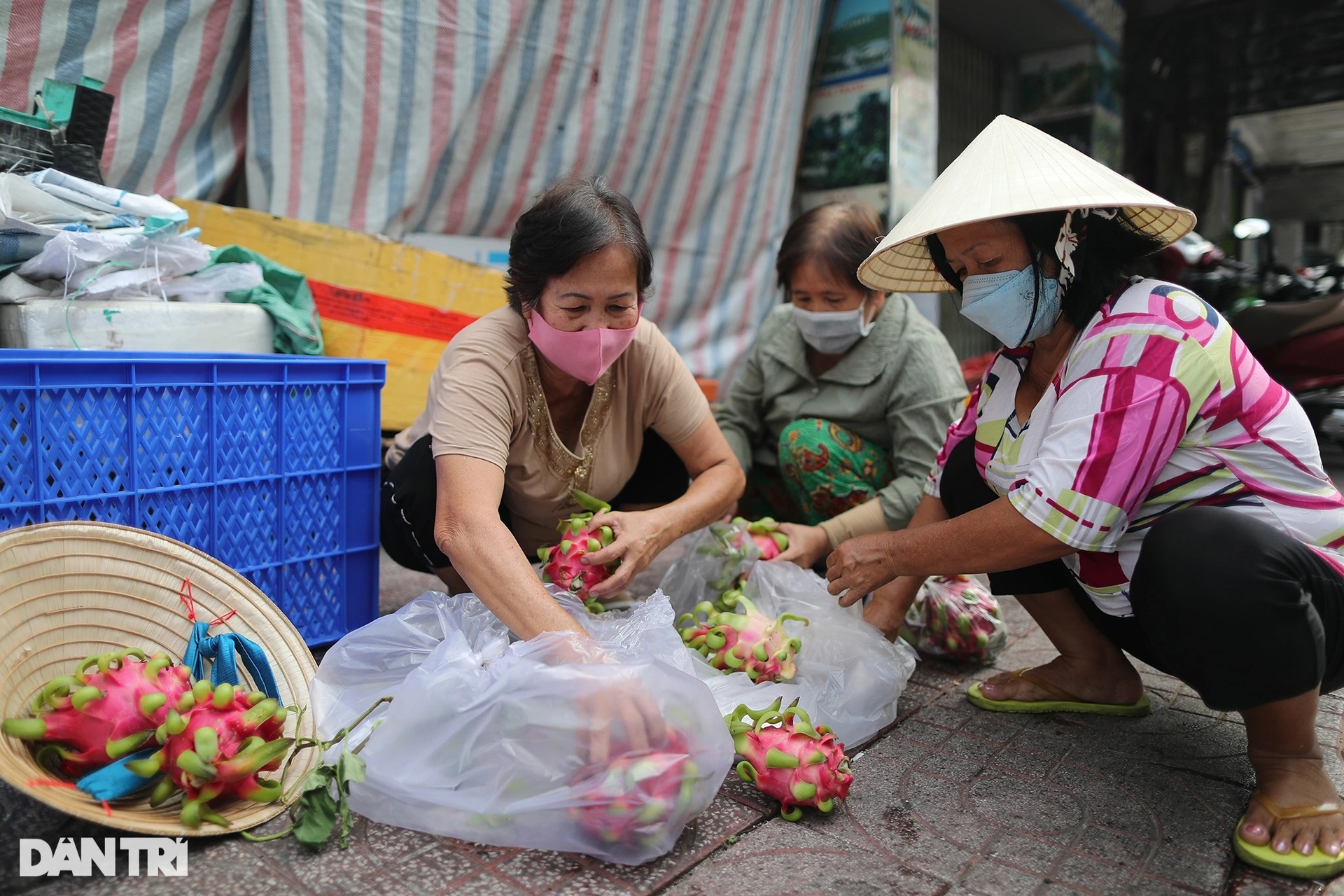 Người dân TPHCM xếp hàng dài chờ nhận thanh long miễn phí - 3