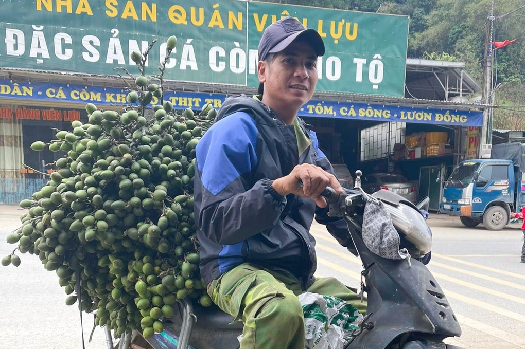 Trung Quốc tăng thu mua, giá cau đội lên 10 lần - 1