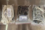 Chín chiếc khăn tìm thấy tại Công viên Lê Thị Riêng: Biệt động Sài Gòn dùng ám hiệu gì nhận nhau?