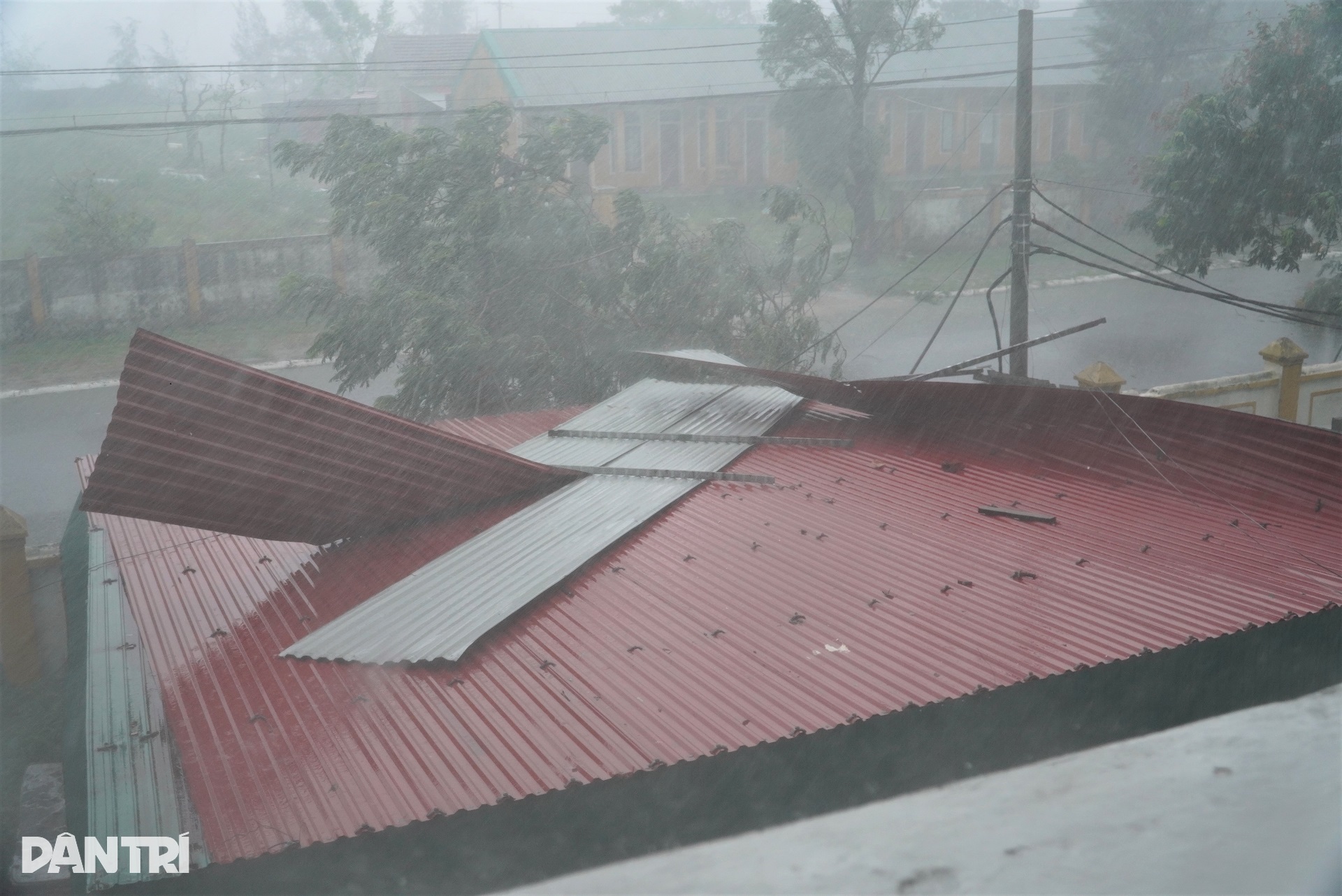 Khu du lịch Thiên Cầm tan hoang sau bão Kajiki - 4 Khu du lịch Thiên Cầm tan hoang sau bão Kajiki - 4