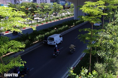 Con đường mát mẻ dài nhất Hà Nội giữa những ngày nắng nóng đỉnh điểm