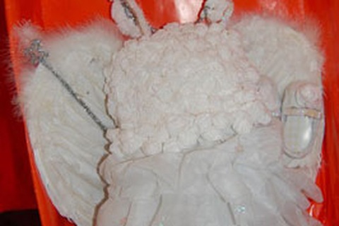 100 ngày cho con: “Chắp cánh hạc bay”