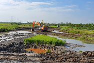 Cao tốc Bắc-Nam: Chỉ định thầu đoạn Cần Thơ-Hậu Giang giá trị gần 8.000 tỷ đồng