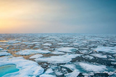 "Ngón tay tử thần" của đại dương giết chết tất cả những gì nó chạm vào