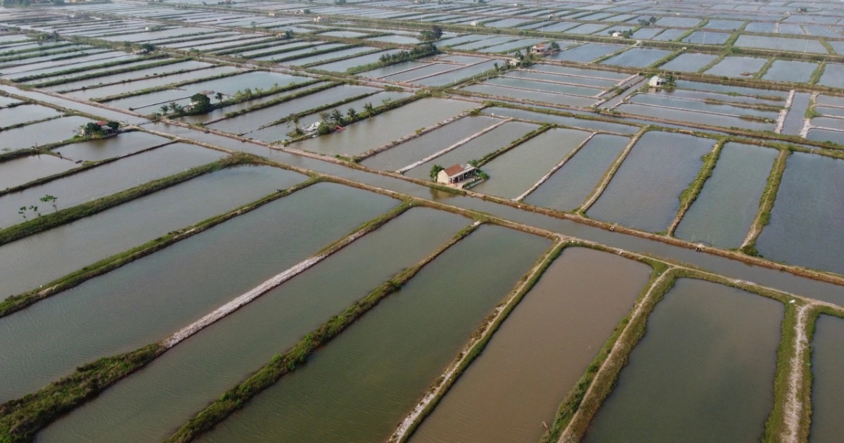 Hoàn thành thu hồi đất, giải phóng mặt bằng khu vực Cồn Xanh