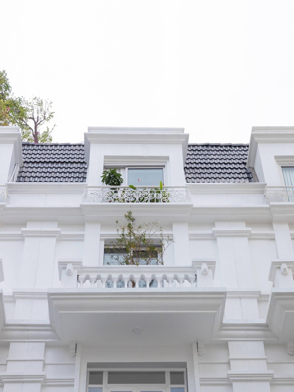 Biệt thự trắng hoành tráng ở con phố sầm uất bậc nhất Hà Nội - 2