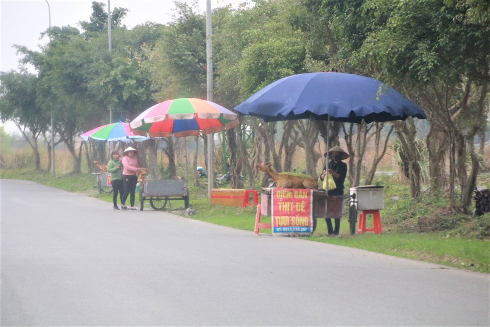 Tiếng thở dài của người làm nghề bán thịt dê Ninh Bình giữa dịch Covid-19 - 1 Tiếng thở dài của người làm nghề bán thịt dê Ninh Bình giữa dịch Covid-19 - 1
