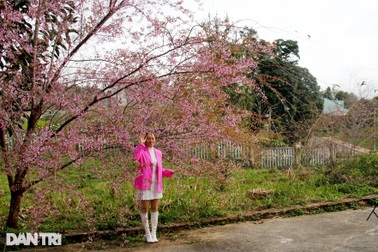 Tỉnh tiếp giáp 2 quốc gia, có diện tích đứng thứ 5 cả nước sau sáp nhập