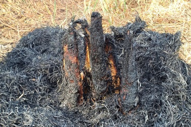 "Ngon bá cháy" với món "vùi mình trong khói lửa" ở miền Tây ngày Tết