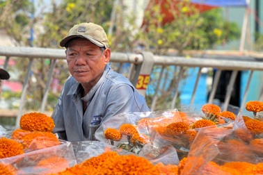 Nỗi niềm thương hồ miền Tây đem hoa lên TPHCM bán Tết