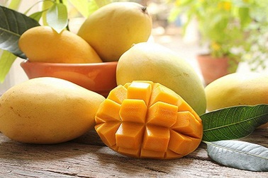 Hoa quả Việt Nam sang Nhật vì sao đắt đỏ?