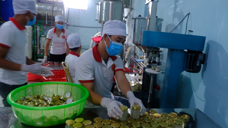 Kiếm hàng trăm triệu đồng từ nghề nuôi loài chim phương Nam - 5 Kiếm hàng trăm triệu đồng từ nghề nuôi loài chim phương Nam - 5