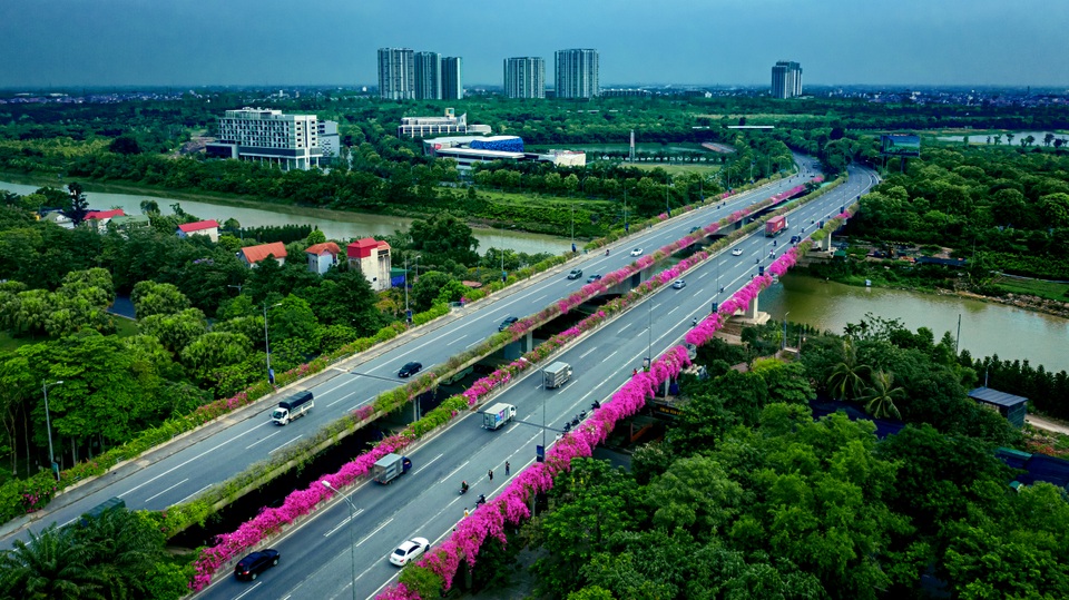 Phát sốt” với con đường hoa giấy đẹp quên lối về ngay gần Hà Nội - 1 Phát sốt” với con đường hoa giấy đẹp quên lối về ngay gần Hà Nội - 1